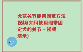 犬宽关节绷带固定方法视频(如何使用绷带固定犬的关节 - 视频演示)