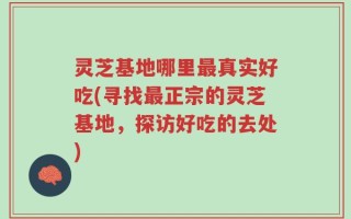 灵芝基地哪里最真实好吃(寻找最正宗的灵芝基地，探访好吃的去处)