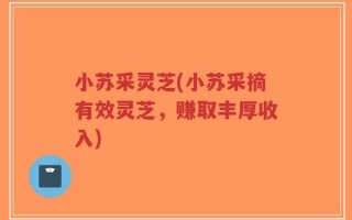 小苏采灵芝(小苏采摘有效灵芝，赚取丰厚收入)