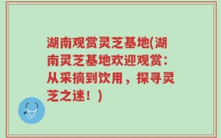 湖南观赏灵芝基地(湖南灵芝基地欢迎观赏：从采摘到饮用，探寻灵芝之迷！)