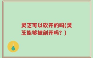 灵芝可以砍开的吗(灵芝能够被剖开吗？)