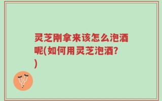 灵芝刚拿来该怎么泡酒呢(如何用灵芝泡酒？)