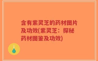 含有紫灵芝的药材图片及功效(紫灵芝：探秘药材图鉴及功效)