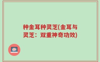 种金耳种灵芝(金耳与灵芝：双重神奇功效)
