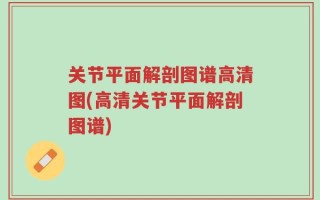 关节平面解剖图谱高清图(高清关节平面解剖图谱)