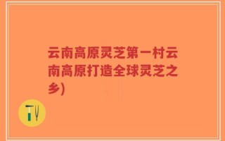 云南高原灵芝第一村云南高原打造全球灵芝之乡)