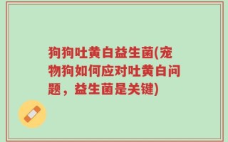 狗狗吐黄白益生菌(宠物狗如何应对吐黄白问题，益生菌是关键)