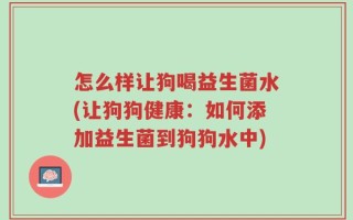 怎么样让狗喝益生菌水(让狗狗健康：如何添加益生菌到狗狗水中)