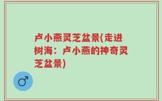 卢小燕灵芝盆景(走进树海：卢小燕的神奇灵芝盆景)