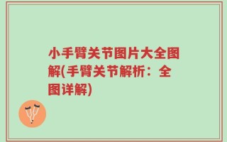 小手臂关节图片大全图解(手臂关节解析：全图详解)