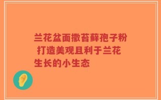 兰花盆面撒苔藓孢子粉 打造美观且利于兰花生长的小生态