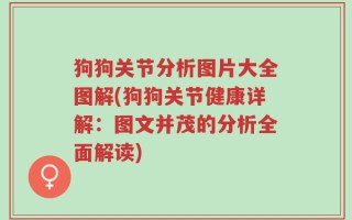 狗狗关节分析图片大全图解(狗狗关节健康详解：图文并茂的分析全面解读)