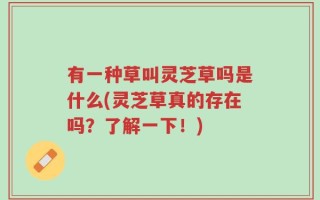 有一种草叫灵芝草吗是什么(灵芝草真的存在吗？了解一下！)