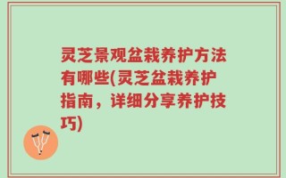 灵芝景观盆栽养护方法有哪些(灵芝盆栽养护指南，详细分享养护技巧)