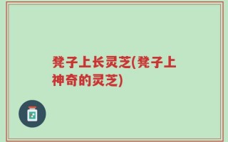凳子上长灵芝(凳子上神奇的灵芝)