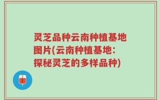 灵芝品种云南种植基地图片(云南种植基地：探秘灵芝的多样品种)