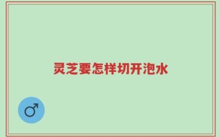灵芝要怎样切开泡水