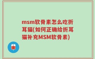 msm软骨素怎么吃折耳猫(如何正确给折耳猫补充MSM软骨素)