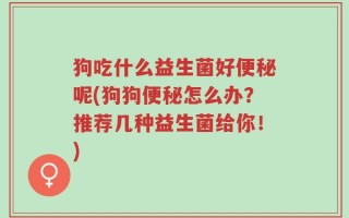狗吃什么益生菌好便秘呢(狗狗便秘怎么办？推荐几种益生菌给你！)