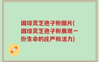 国琼灵芝孢子粉图片(国琼灵芝孢子粉展现一份生命的庄严和活力)