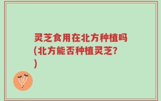 灵芝食用在北方种植吗(北方能否种植灵芝？)