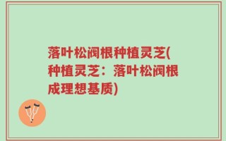 落叶松阀根种植灵芝(种植灵芝：落叶松阀根成理想基质)