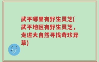 武平哪里有野生灵芝(武平地区有野生灵芝，走进大自然寻找奇珍异草)