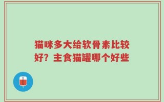猫咪多大给软骨素比较好？主食猫罐哪个好些
