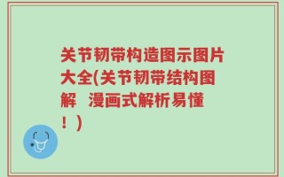 关节韧带构造图示图片大全(关节韧带结构图解  漫画式解析易懂！)