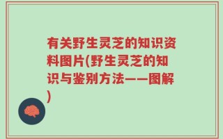 有关野生灵芝的知识资料图片(野生灵芝的知识与鉴别方法——图解)