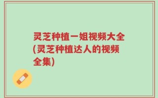 灵芝种植一姐视频大全(灵芝种植达人的视频全集)