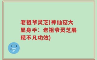老祖爷灵芝(神仙菇大显身手：老祖爷灵芝展现不凡功效)