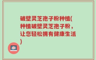 破壁灵芝孢子粉种植(种植破壁灵芝孢子粉，让您轻松拥有健康生活)