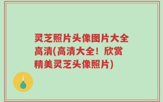 灵芝照片头像图片大全高清(高清大全！欣赏精美灵芝头像照片)