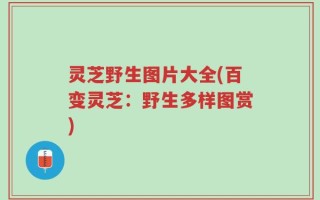 灵芝野生图片大全(百变灵芝：野生多样图赏)