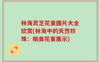 林海灵芝花束图片大全欣赏(林海中的天然珍珠：精美花束展示)
