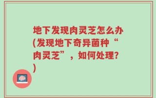 地下发现肉灵芝怎么办(发现地下奇异菌种“肉灵芝”，如何处理？)