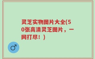 灵芝实物图片大全(50张高清灵芝图片，一网打尽！)