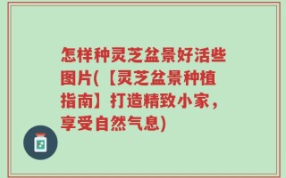 怎样种灵芝盆景好活些图片(【灵芝盆景种植指南】打造精致小家，享受自然气息)