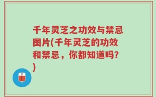 千年灵芝之功效与禁忌图片(千年灵芝的功效和禁忌，你都知道吗？)