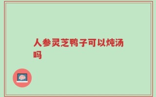 人参灵芝鸭子可以炖汤吗