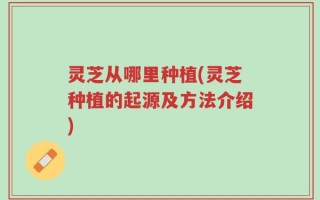 灵芝从哪里种植(灵芝种植的起源及方法介绍)
