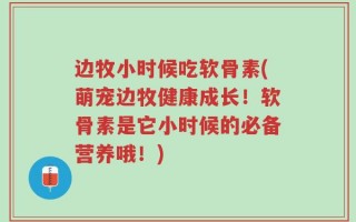 边牧小时候吃软骨素(萌宠边牧健康成长！软骨素是它小时候的必备营养哦！)