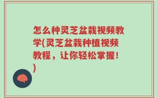 怎么种灵芝盆栽视频教学(灵芝盆栽种植视频教程，让你轻松掌握！)