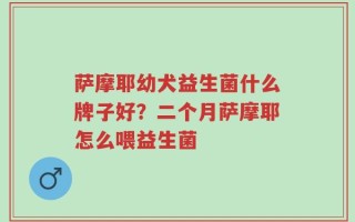 萨摩耶幼犬益生菌什么牌子好？二个月萨摩耶怎么喂益生菌
