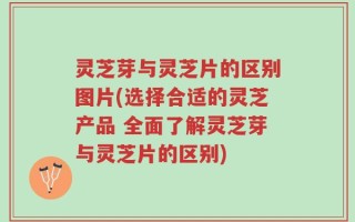 灵芝芽与灵芝片的区别图片(选择合适的灵芝产品 全面了解灵芝芽与灵芝片的区别)