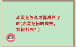 赤灵芝怎么才算成熟了呢(赤灵芝何时成熟，如何判断？)