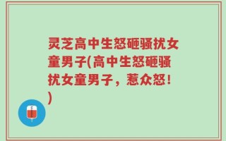 灵芝高中生怒砸骚扰女童男子(高中生怒砸骚扰女童男子，惹众怒！)