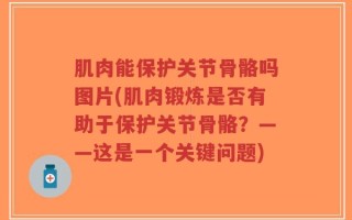 肌肉能保护关节骨骼吗图片(肌肉锻炼是否有助于保护关节骨骼？——这是一个关键问题)
