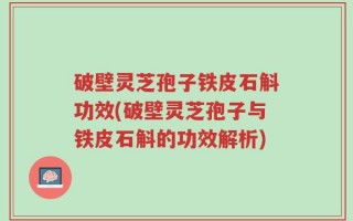 破壁灵芝孢子铁皮石斛功效(破壁灵芝孢子与铁皮石斛的功效解析)